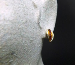 14K PLATE EARS VIEW